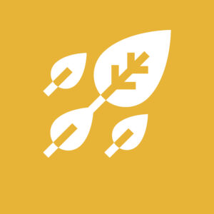 Herbolario/ Remedios Naturales