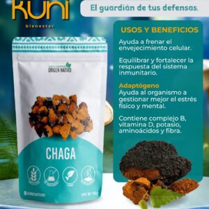 Chaga