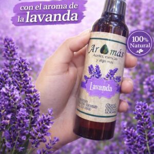 Aroma lavanda